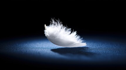 Soft white feather, fluffy and delicate, on blue textured surface with spotlight, close - up view, copy space.