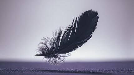 Black feather, delicate and floating, against soft purple-hued background with textured surface, close-up, copy space.