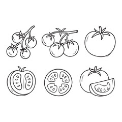 Tomato Line Art Set - Whole, Sliced, and Cherry Tomatoes on Vine Vector
