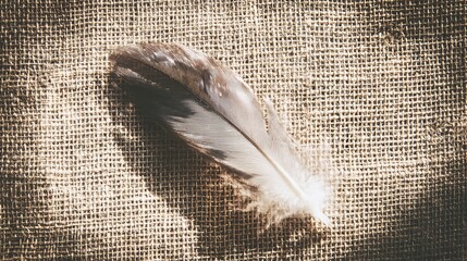 Brown feather, with subtle gradient, lying on textured burlap background, top view, copy space.