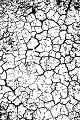 cracked ground texture