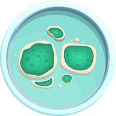 Microscopic View Of Green Mold Fungus Colonies Growing In A Petri Dish With Transparent Background And Soft Lighting
