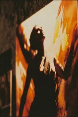 Shadow Dance in Warm Light