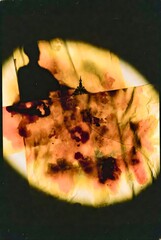 Circular Vintage Abstract with Burnt Edges