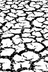 Obraz premium black and white background