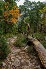 Termessos (Greek Τερμησσός Termēssós), also known as Termessos Major (Τερμησσός ἡ μείζων), was a Pisidian city built at an altitude of about 1000 metres at the south-west side of Solymos Mountain