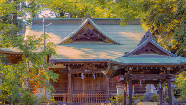 pavilion in the park Shows a traditional Japanese building. Full-frame composition, green-brown tone. Realistic style, architectural background,