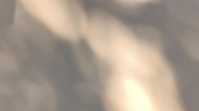 Blurred leaves shadow on the wall , Chiangmai province Thailand.	