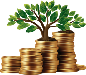 Tree Growing on Stacked Coins Representing Financial Growth