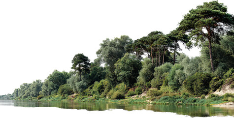 Serene river bank with lush green trees and clear water