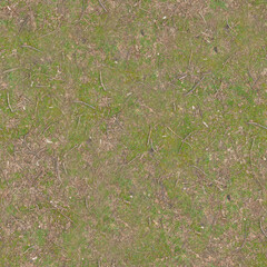 Mossy Ground with Small Plant Fragments and Soil in Natural Outdoor Setting