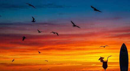 Obraz premium Surfer silhouette enjoying sunset with seagulls flying overhead 