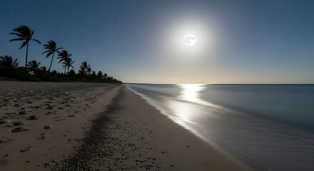 Serene Beach Scene at Sunset with Palm Trees and Calm Waters.
