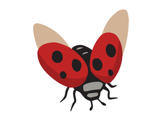 Ladybug Beetle Animal Clip Art 
