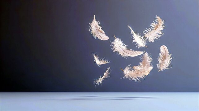 A collection of light, fluffy white feathers are suspended in mid-air, drifting gently against a dark blue background with a soft light cast upon a reflective s