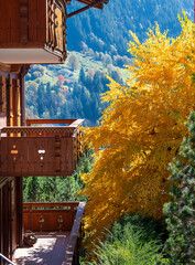 Beautiful village of Grindelwald, Switzerland
