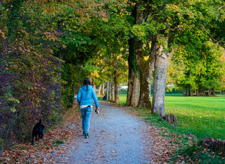 A romantic autumn walking path with lots of yellow leaves