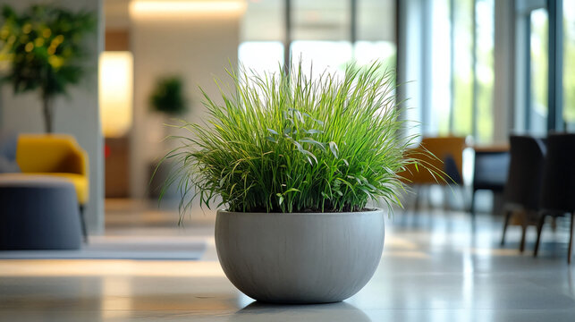 Fresh green plant in a modern office space creates a calming work environment, promoting employee well-being and adding a touch of nature to the interior design