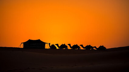 The silhouette of a Bedouin tent and a camel caravan against a vibrant orange desert sunset.