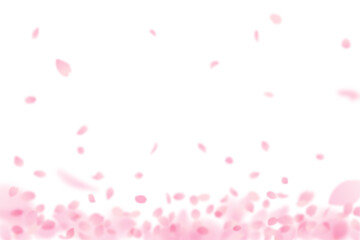 舞い散る、降り積もるやさしい桜の花びら背景