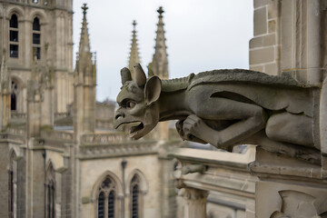 A low-angle shot of a gargoyle perched high on the intricate gothic architecture of a cathedral.