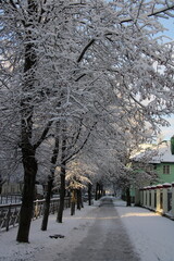 winter street covered with snow, 