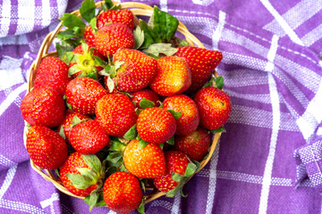 Wicker basket overflowing with fresh red strawberries, set against a crumpled purple and white checkered cloth. Strong visual contrast for rustic or summer-themed projects.