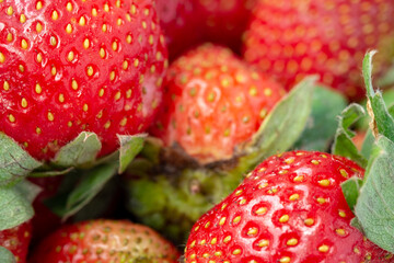 Extreme close-up (macro) of a pile of ripe strawberries, filling the frame and showcasing the vibrant red texture, golden seeds, and fuzzy green leaves. Focus on richness and abundance.