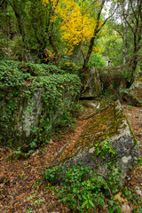 Termessos (Greek &Tau;&epsilon;&rho;&mu;&eta;&sigma;&sigma;ό&sigmaf; Termēss&oacute;s), also known as Termessos Major (&Tau;&epsilon;&rho;&mu;&eta;&sigma;&sigma;ό&sigmaf; ἡ &mu;&epsilon;ί&zeta;&omega;&nu;), was a Pisidian city built at an altitude of about 1000 metres at the south-west side of Solymos Mountain