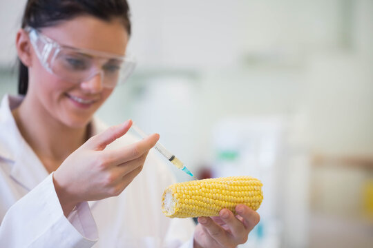 Female scientist in lab coat and goggles injecting blue-green syringe into partly eaten corn in lab - Powered by Adobe