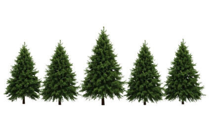 Obraz premium Row of evergreen trees with pointy tops creates a natural Christmas forest landscape