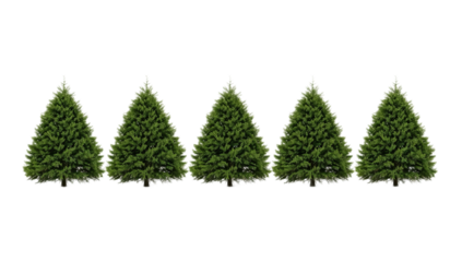 A straight line of five identical lush green fir trees, a repeating natural pattern isolated against a pure white background
