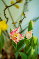 Vibrant flowers display a mix of colors and shapes, creating a cheerful atmosphere indoors