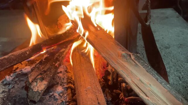 Crackling Campfire Flames  Close-Up Burning Wood Fire