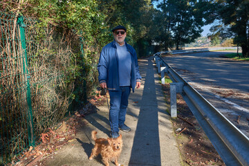 Elderly man walking along a rural path with his dog on a sunny day in a green setting with trees and a cityscape in the background