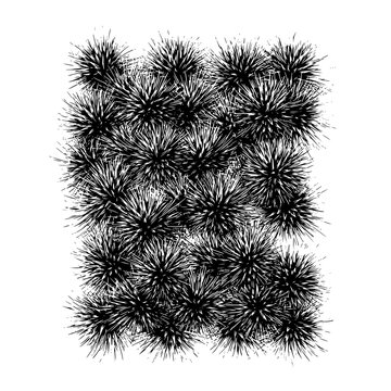Black and white burrs pattern illustration, abstract burrs background, nature burrs design element art