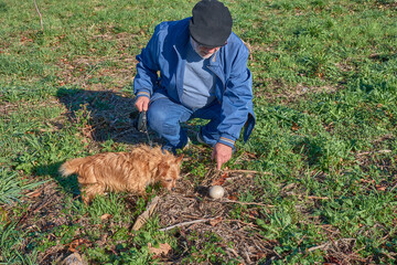 An elderly man walking his dog in the countryside on a sunny day stops to observe a mushroom on the...