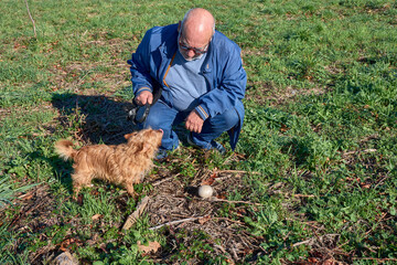 An elderly man walking his dog in the countryside on a sunny day stops to observe a mushroom on the...