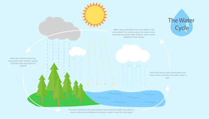 Water cycle infographic. Science teaching aids.