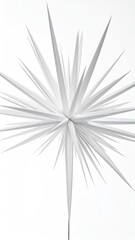 Fototapeta premium Spiky, starburst-like white plant on stark white background