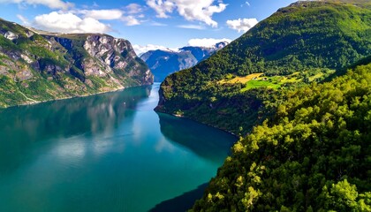 Fototapeta premium Aerial view of a deep fjord surrounded by lush green mountains