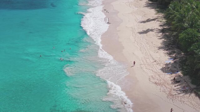Playa Rinc&oacute;n , Dominican Republic, Samana. Beach Drone 4K footage