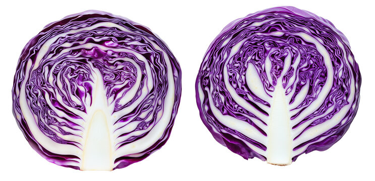 Close-up of a sliced purple cabbage isolated on transparent background. Concept of fresh vegetables and healthy eating - Powered by Adobe