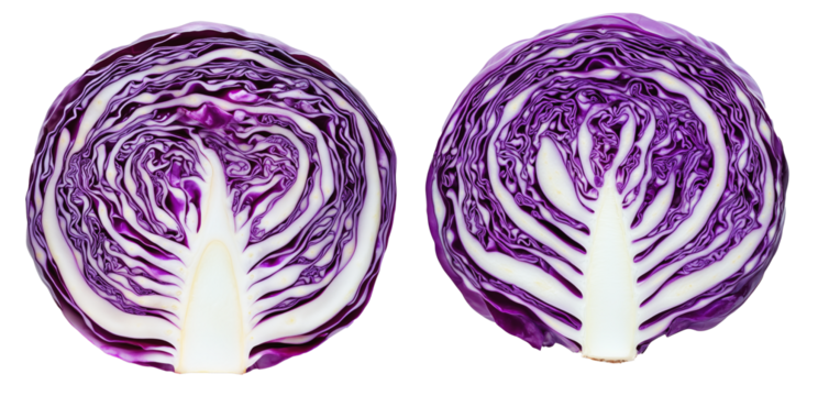 Close-up of a sliced purple cabbage isolated on transparent background. Concept of fresh vegetables and healthy eating