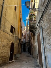 Wandering through a Historic Alleyway: The architecture of a serene alley in an old city evokes a sense of timeless elegance, framed by weathered stone facades and a touch of the bright sky above. 