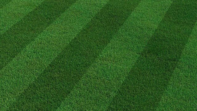 Green grass texture background. A perfectly manicured Sports field / Pitch / Garden Lawn wallpaper with stripes.