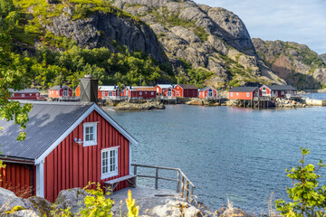 Fototapete bei efototapeten.de bestellen   