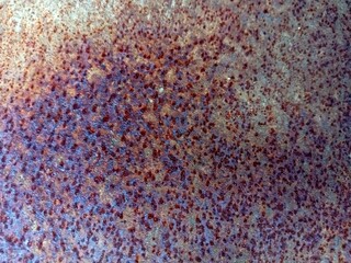 Close-up texture of a rusty metal surface showing detailed corrosion, oxidized patterns, and natural weathering. The abstract pattern created by rust and metal decay can be used for backgrounds
