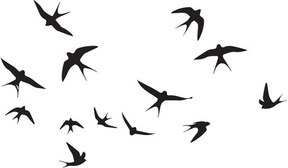 A collection of various sized black bird silhouettes are scattered across a white background, appearing to fly.