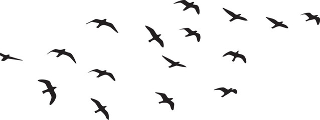 A collection of various sized black bird silhouettes are scattered across a white background, appearing to fly.